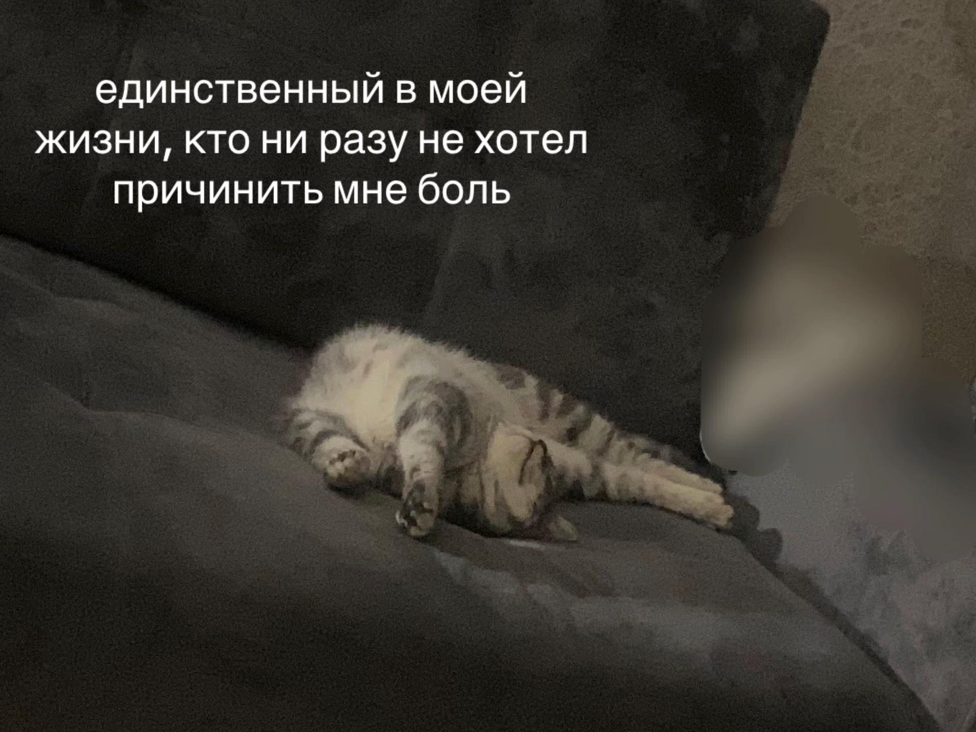 @кентуха
