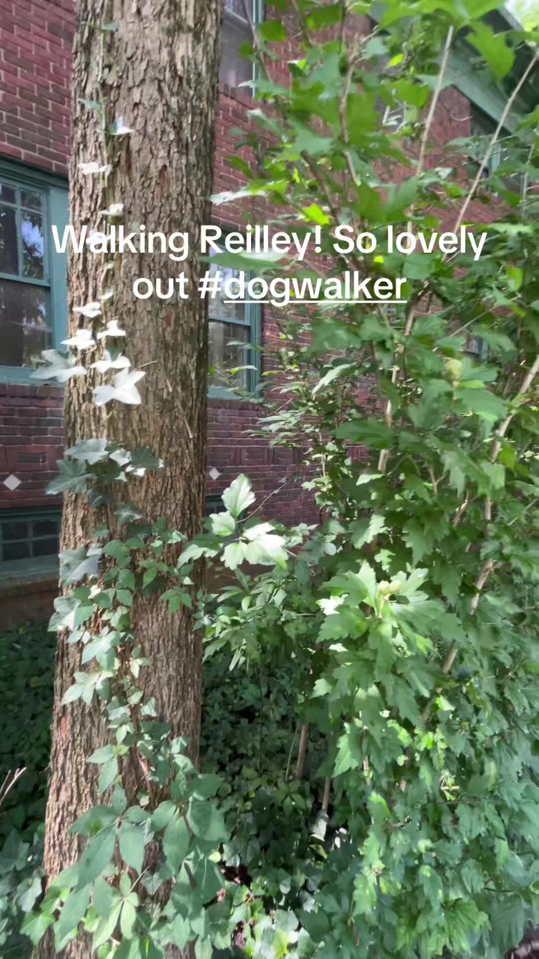 @Cheskie24
