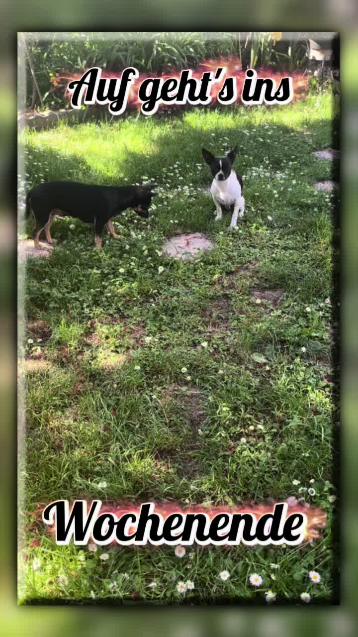 @Mo&Gi Life 🐾❤️🥰