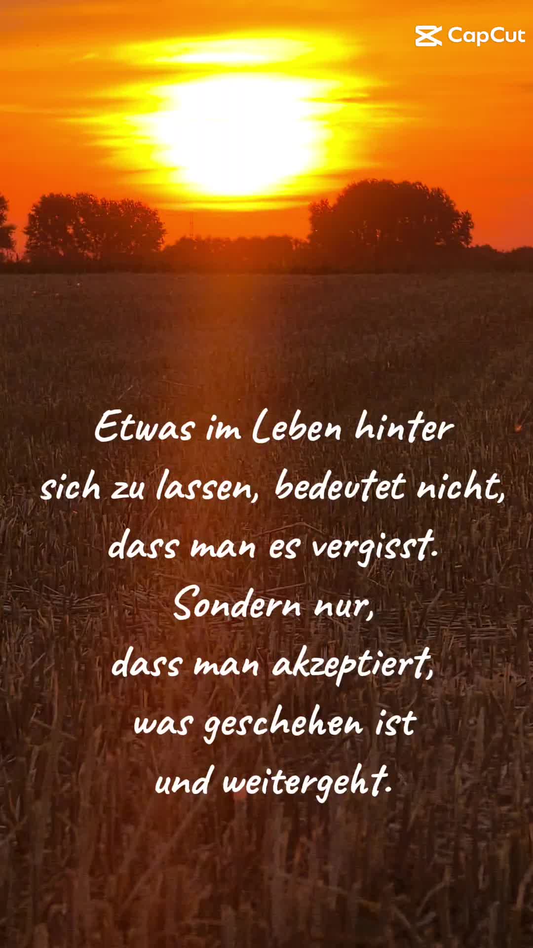 @Ela