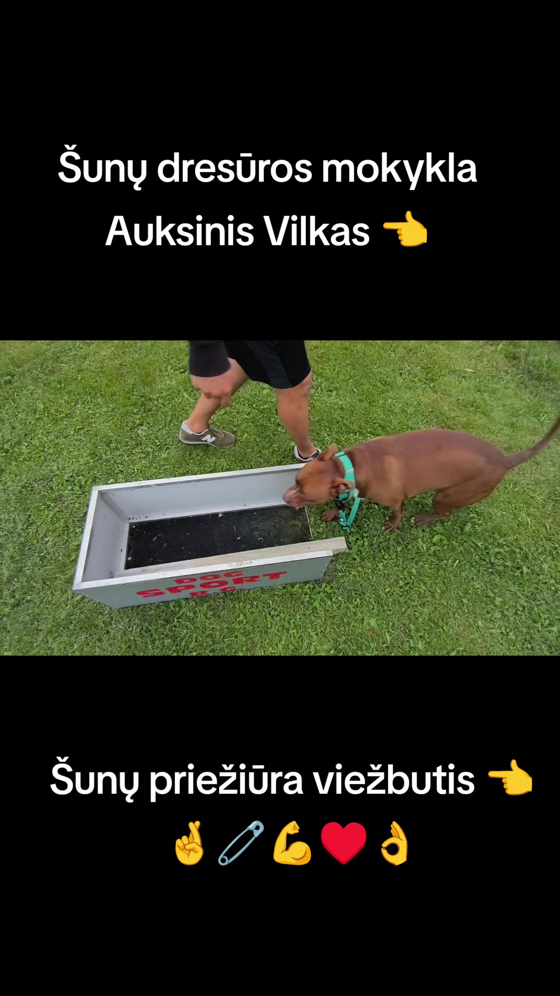 @Vidmantas Selvenis