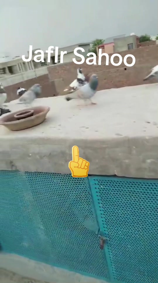 @J@£!R S@H00 111🦅