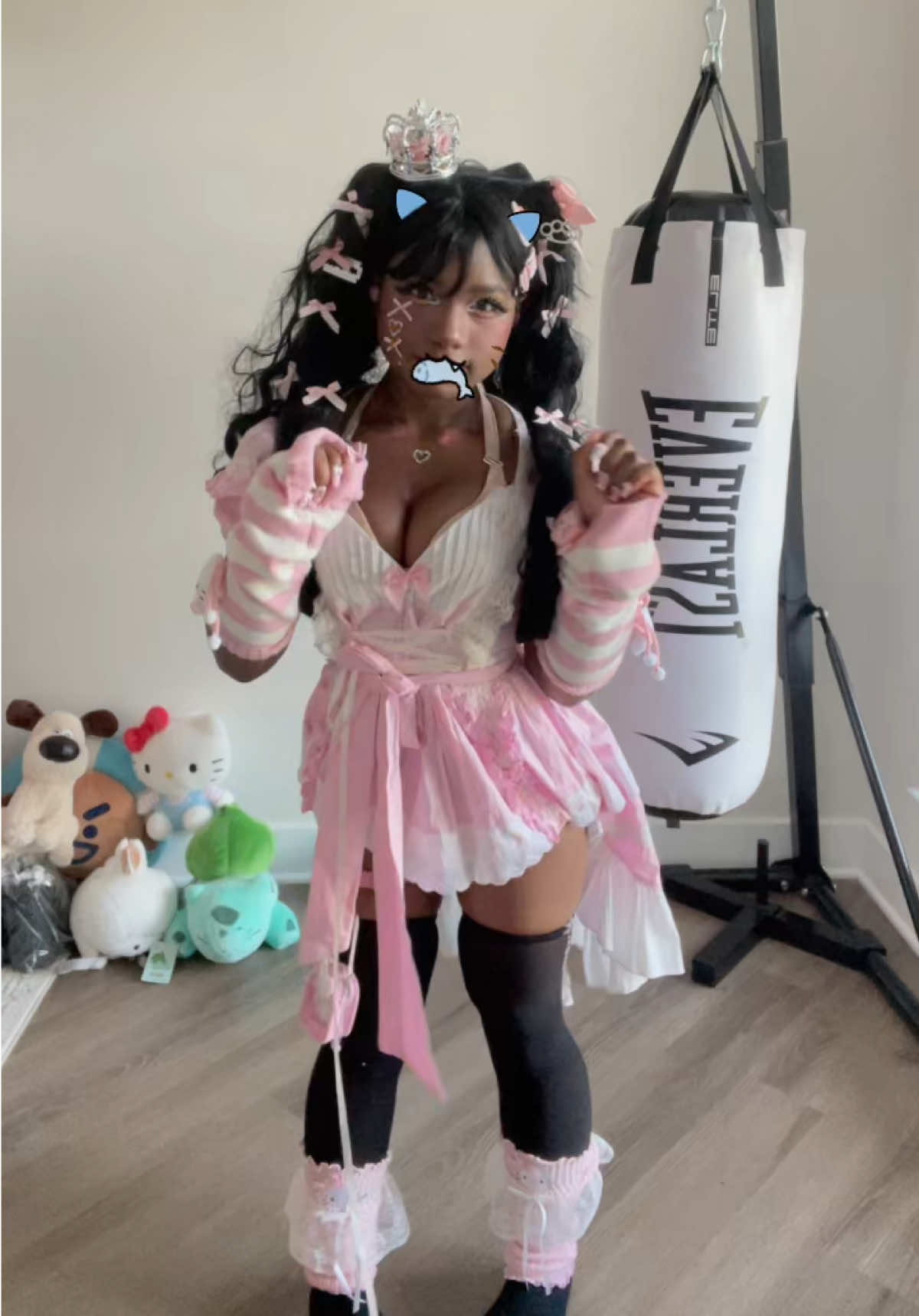 @insta:kittenholic