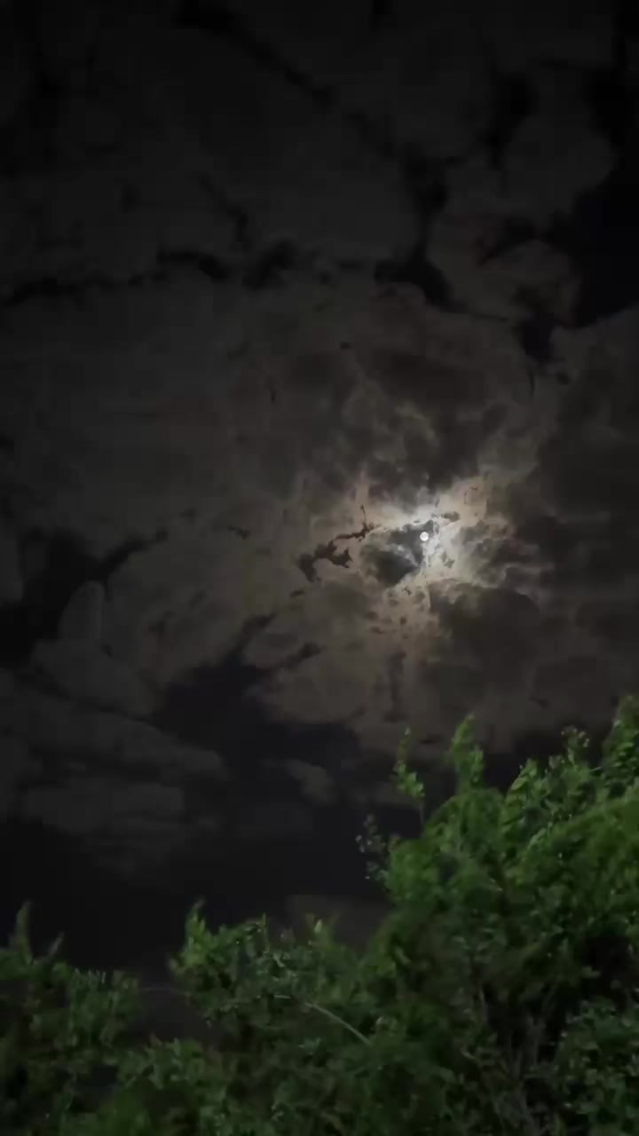 @𝓨𝓸𝓾𝓼𝓲𝓯  ོ ⠀