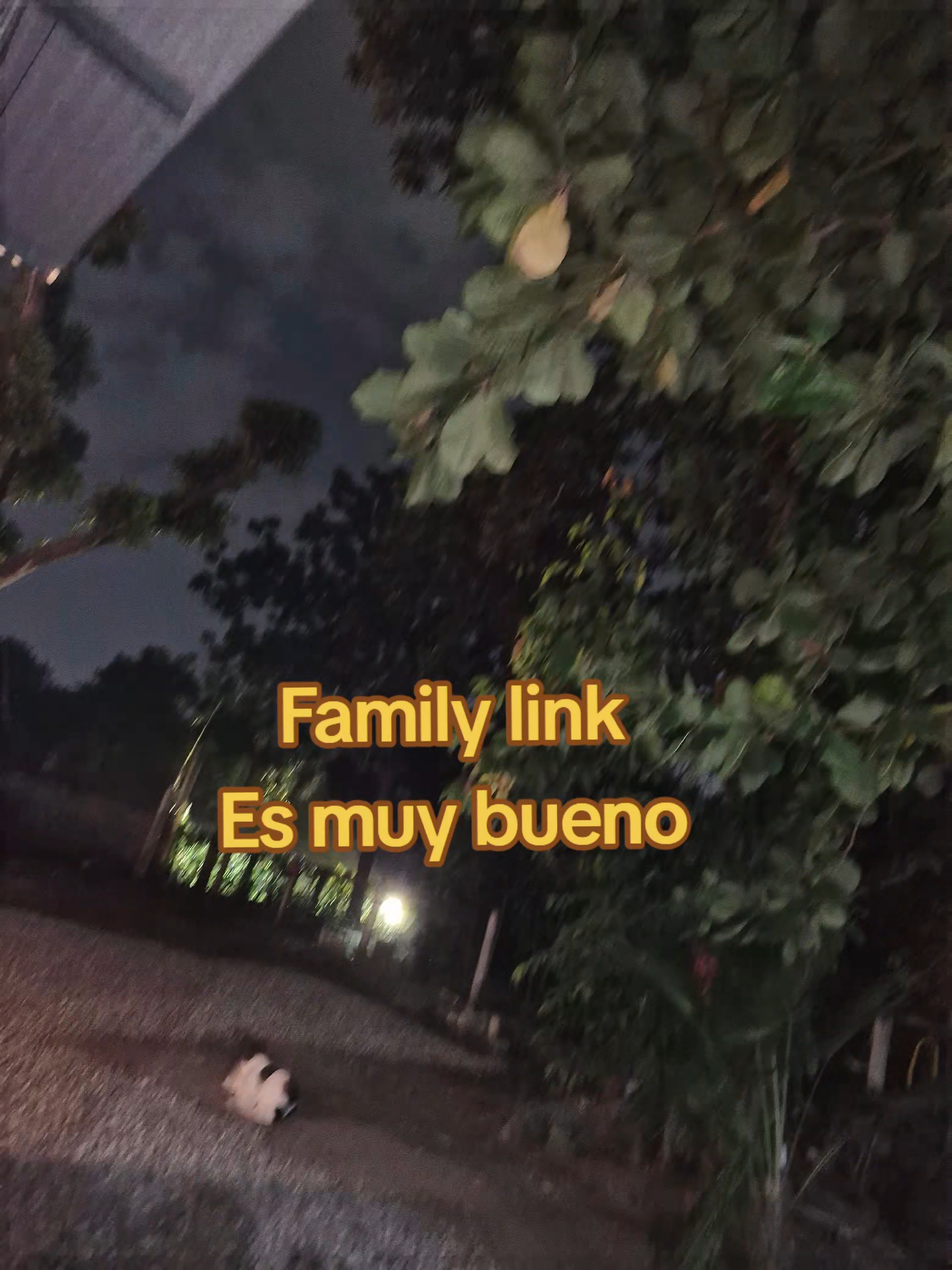 @⌗ ᮫ׂ 𝚒𝚍𝚔_𝚜𝚞𝚐𝚎 ׅ⋆ ׅ🌸꒷