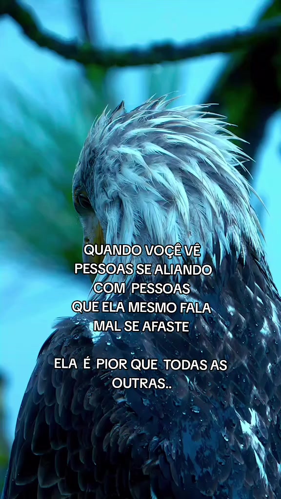 @🦅🦅🌞ANGEWL MOTIVADA🌞🦅🦅