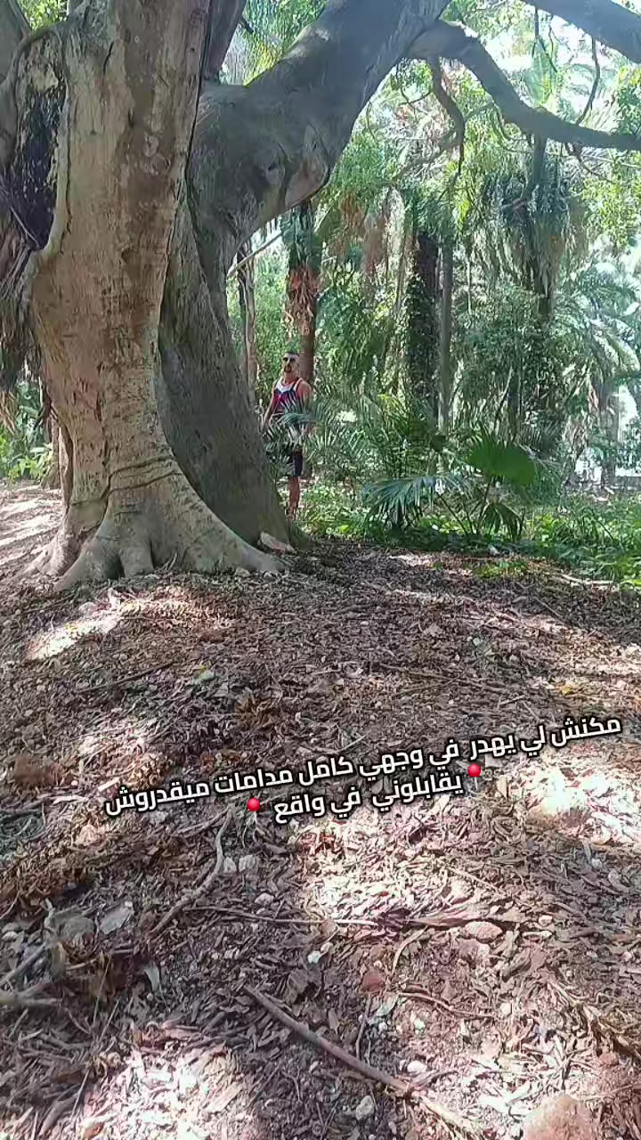@🇩🇿بويكا_الشاوي🇩🇿