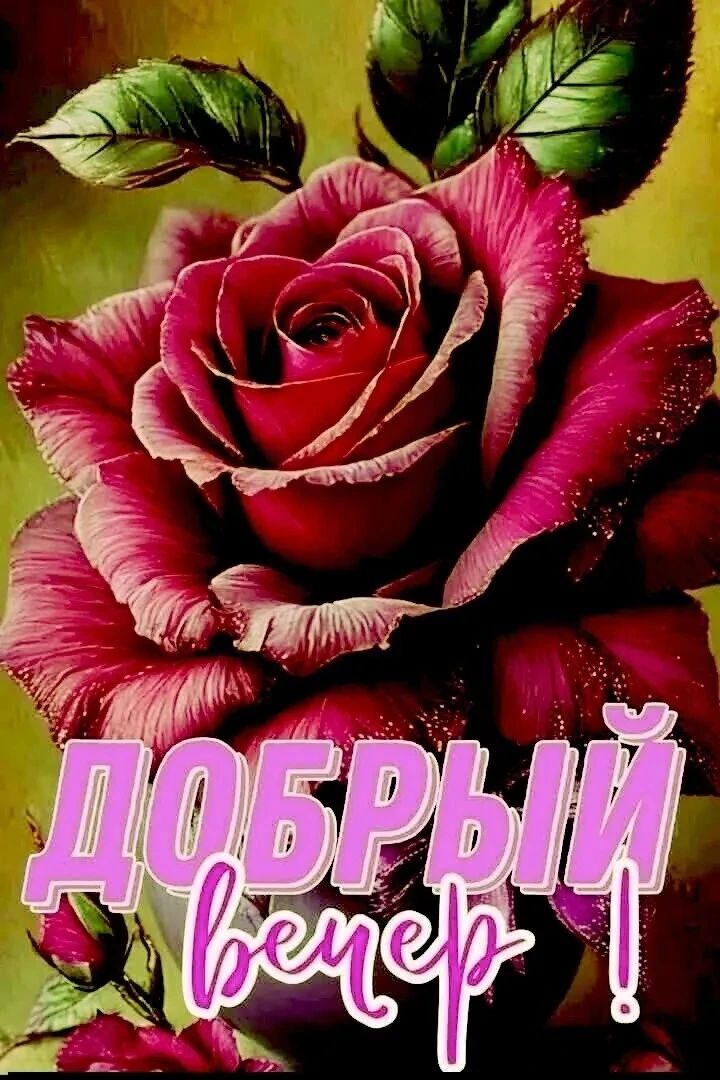 @Татьяна Курилина