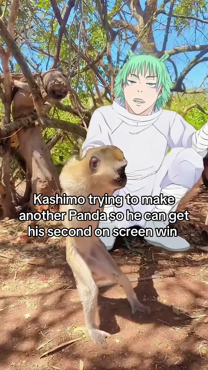 @Milkies/Echidna