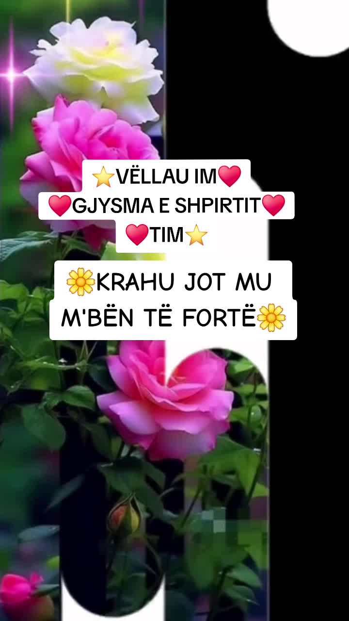 @Eli 🌸💎🌹🌸💎🌹