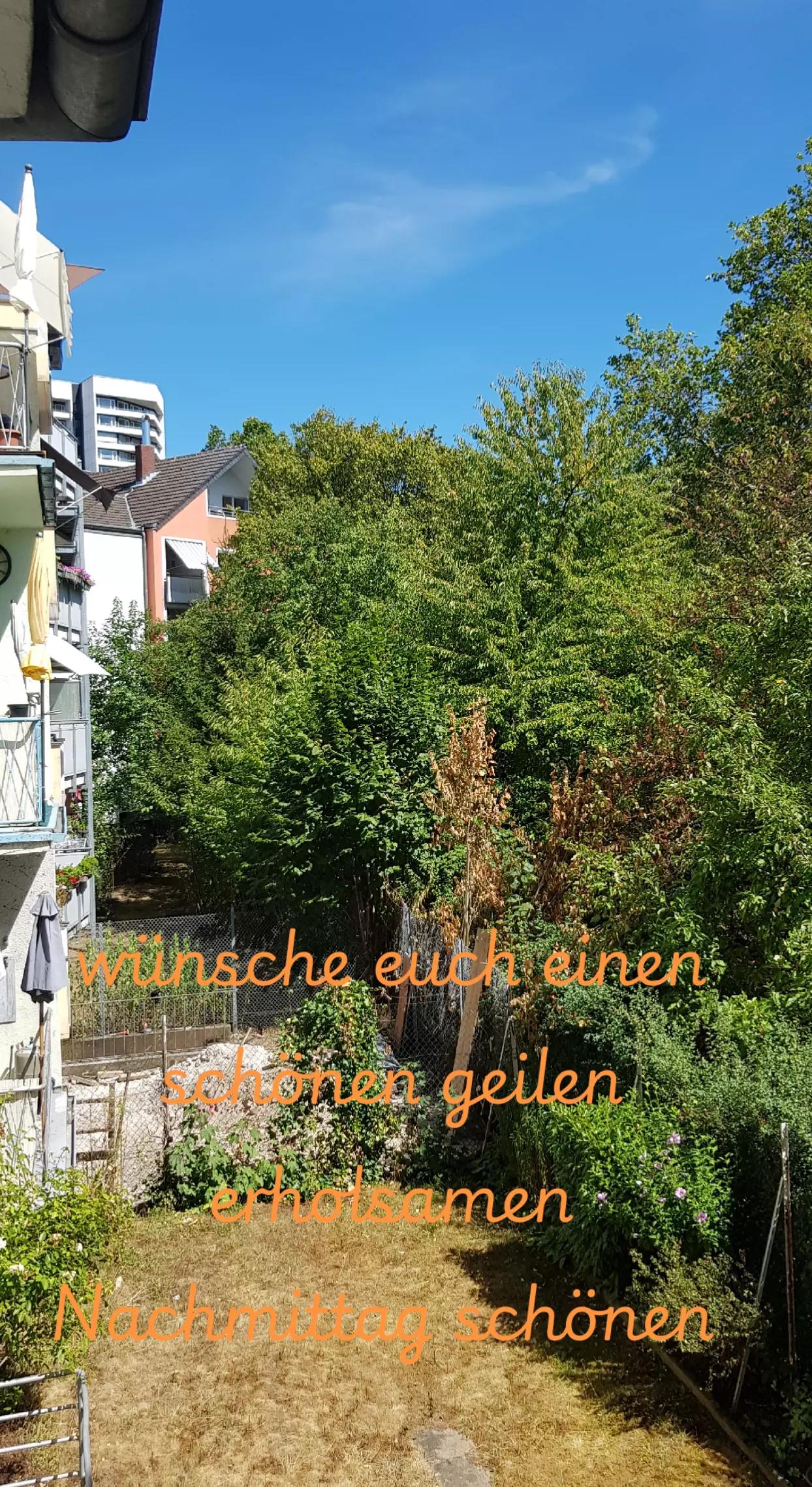 @stefangeilhausen3