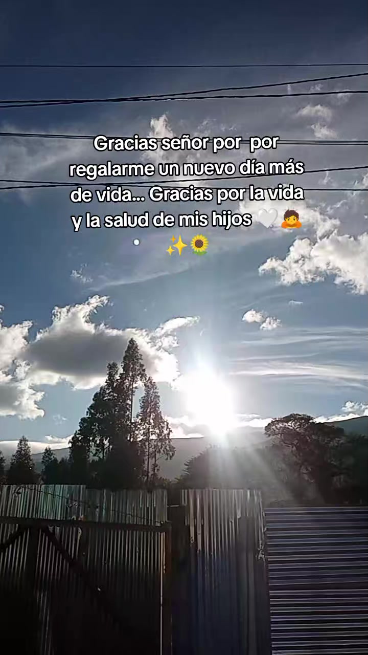 @🌻⚡♌