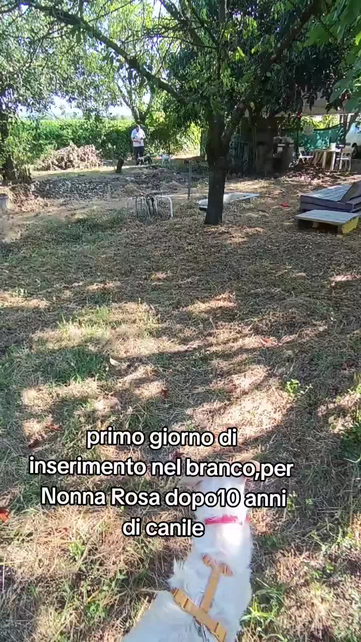@Delibu'