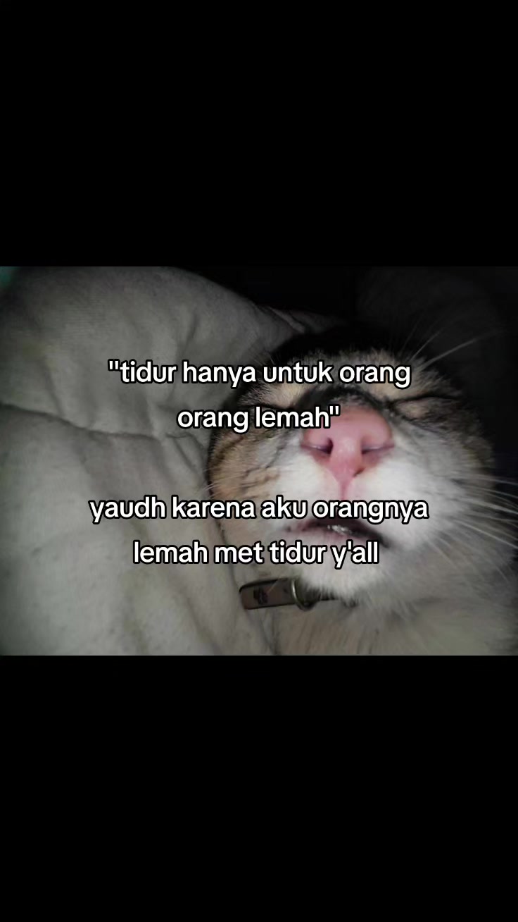 @iliyaas😹