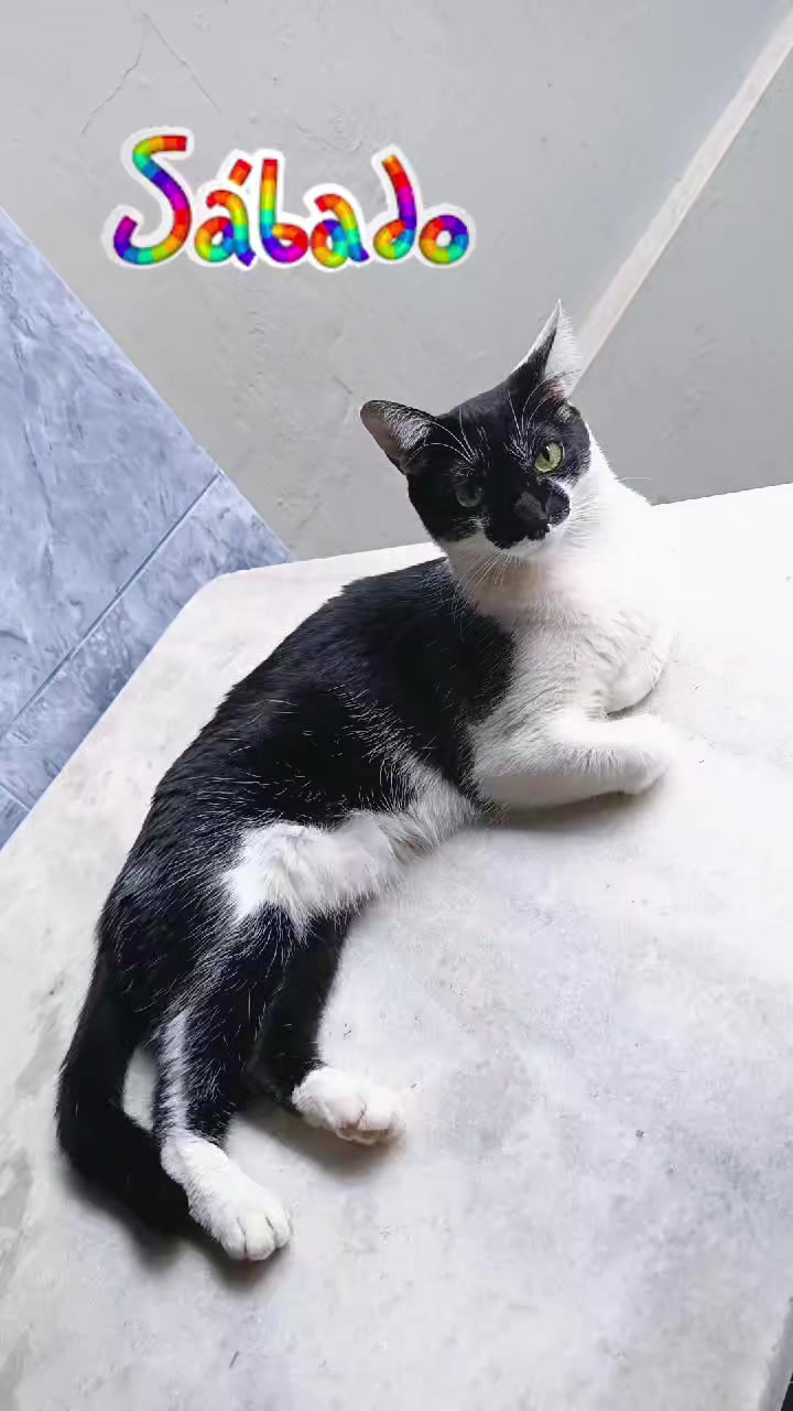 @Paula Alves