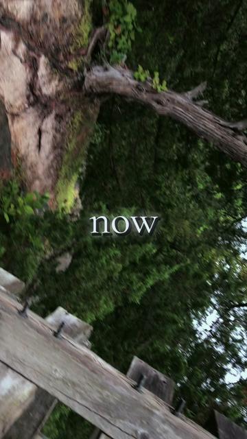 @𓉸 𝓚𝓪𝓲 ᶻ 𝗓 𐰁