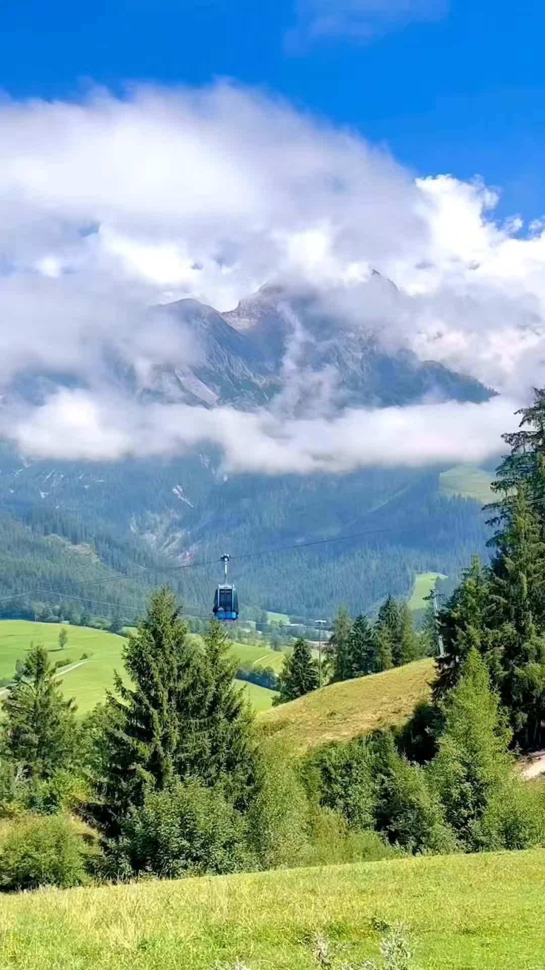 @Lion 🇦🇹