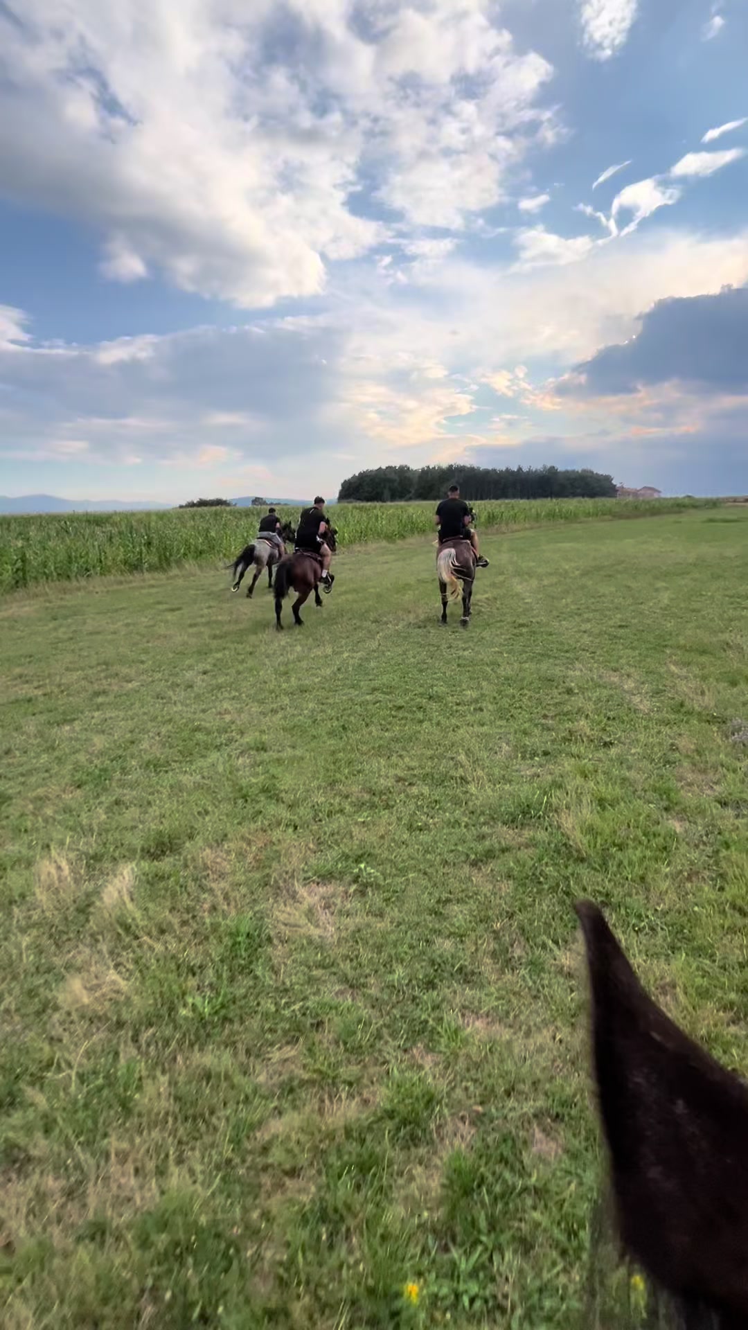 @BERTI RANCH 🐎