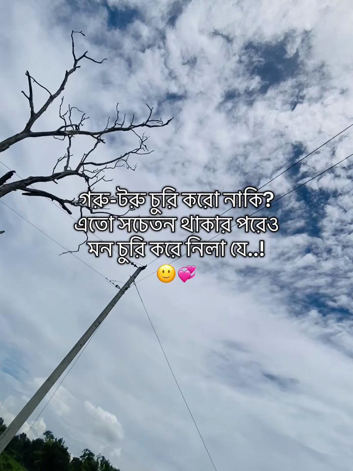 @টিক_টকি🐸
