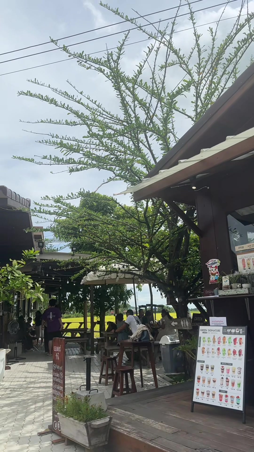 @PB(ผักบุ้ง)