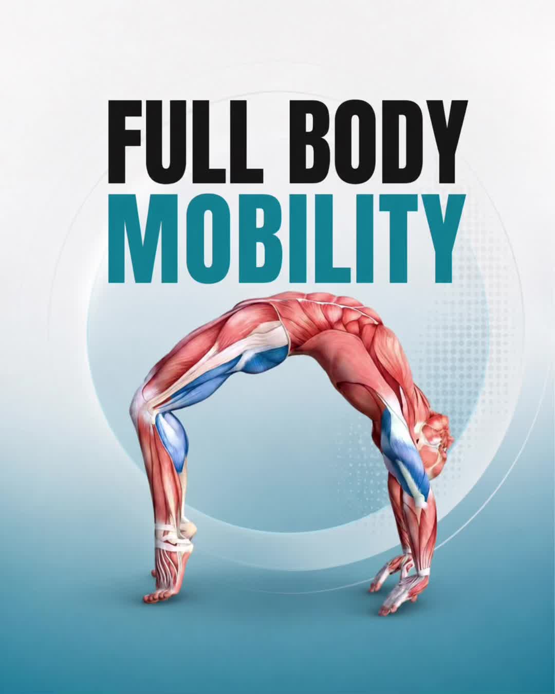 @PT Vitals | Mobility