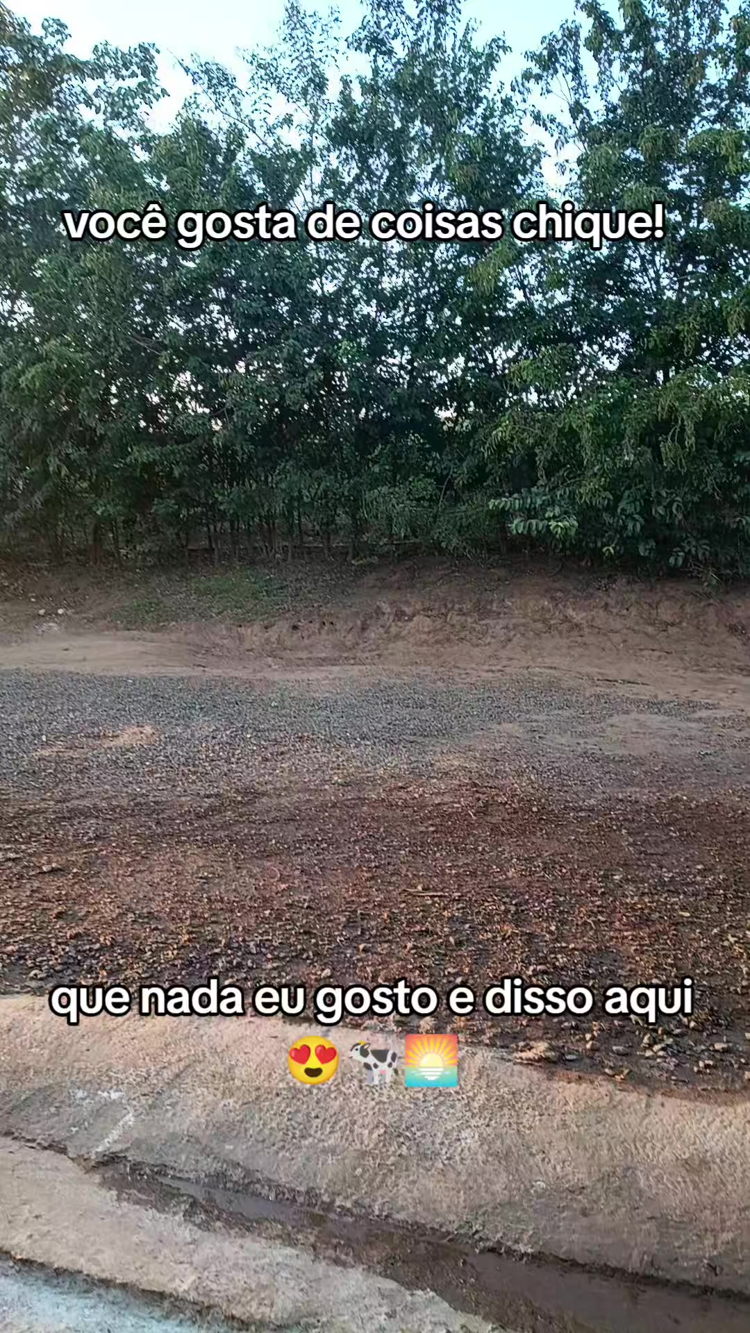 @Vivianne_Gomes_Oficial🌵🦋
