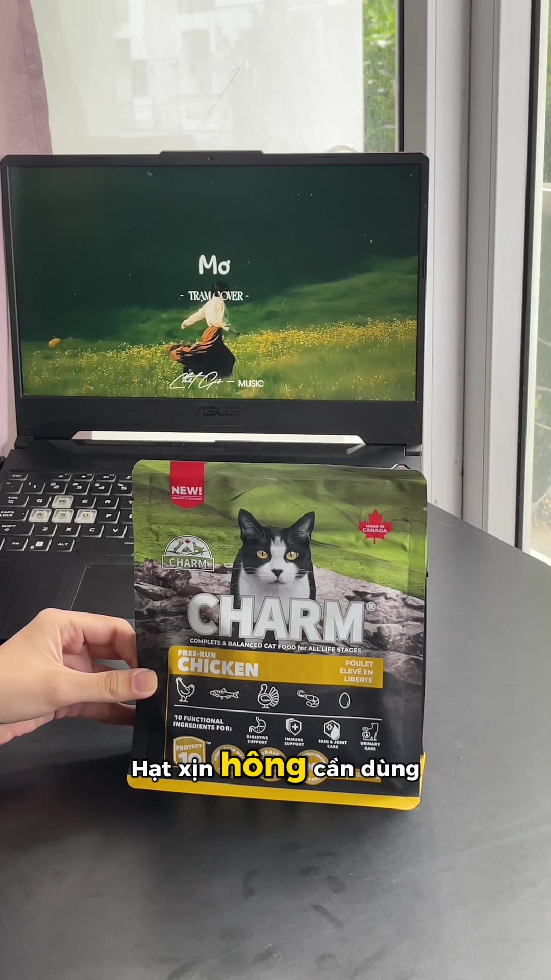 @Sếp T&ocirc;i L&agrave; Một Con M&egrave;