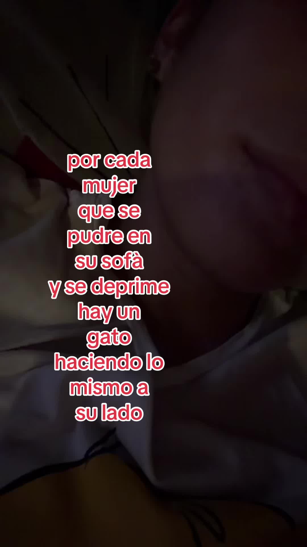 @Estrella