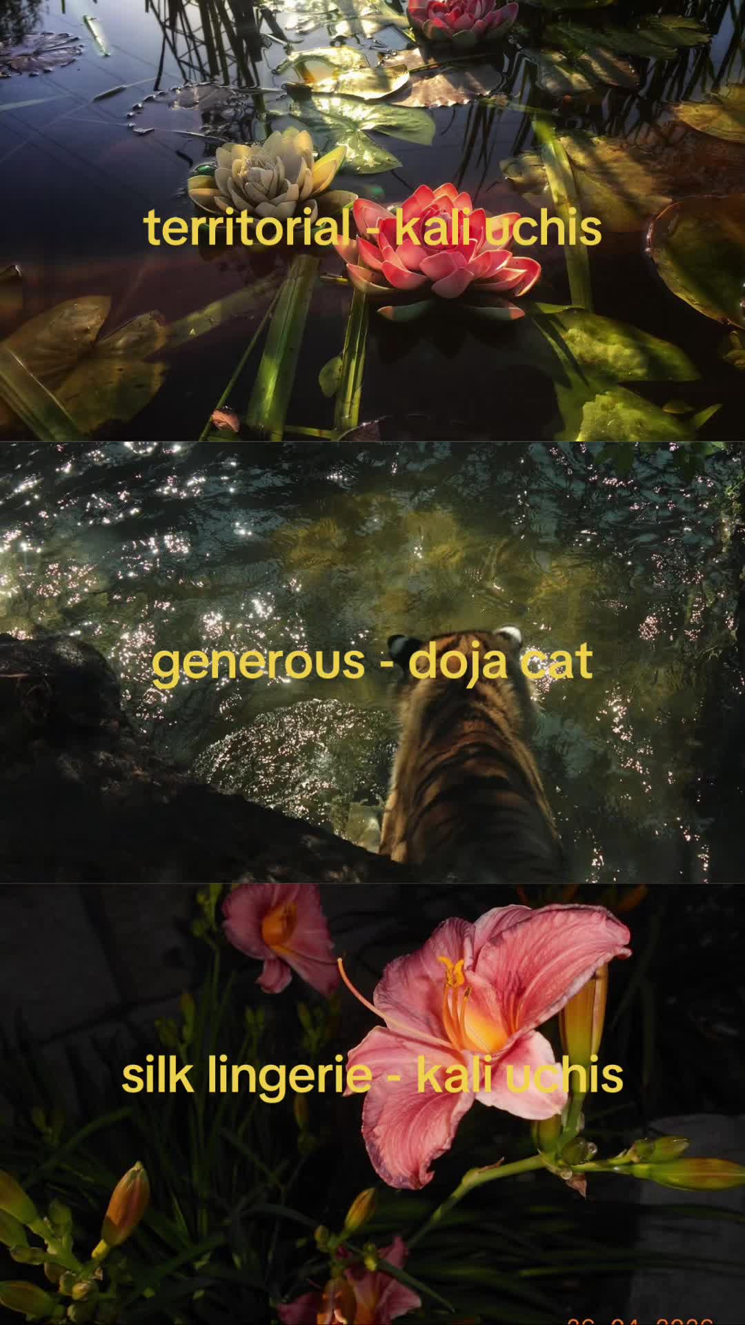 @jah