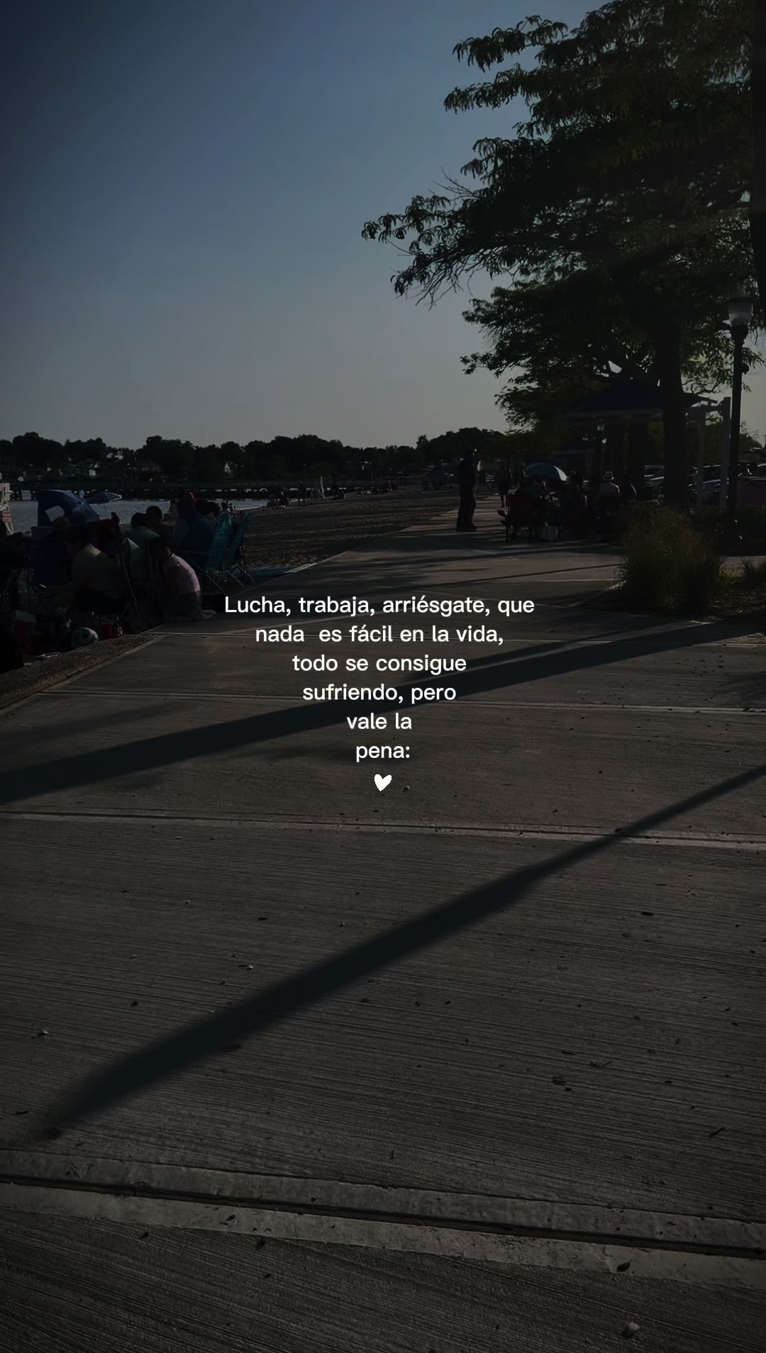 @DCGP