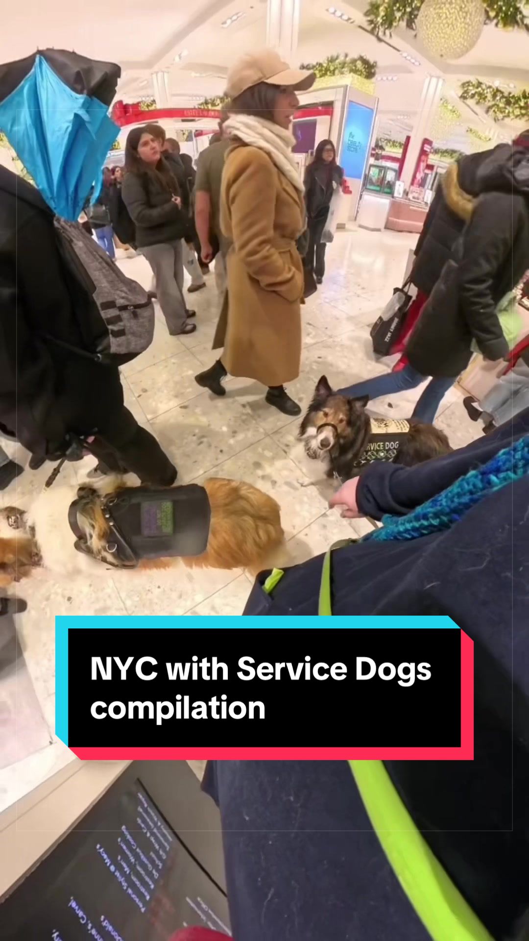 @Dakota & Pups