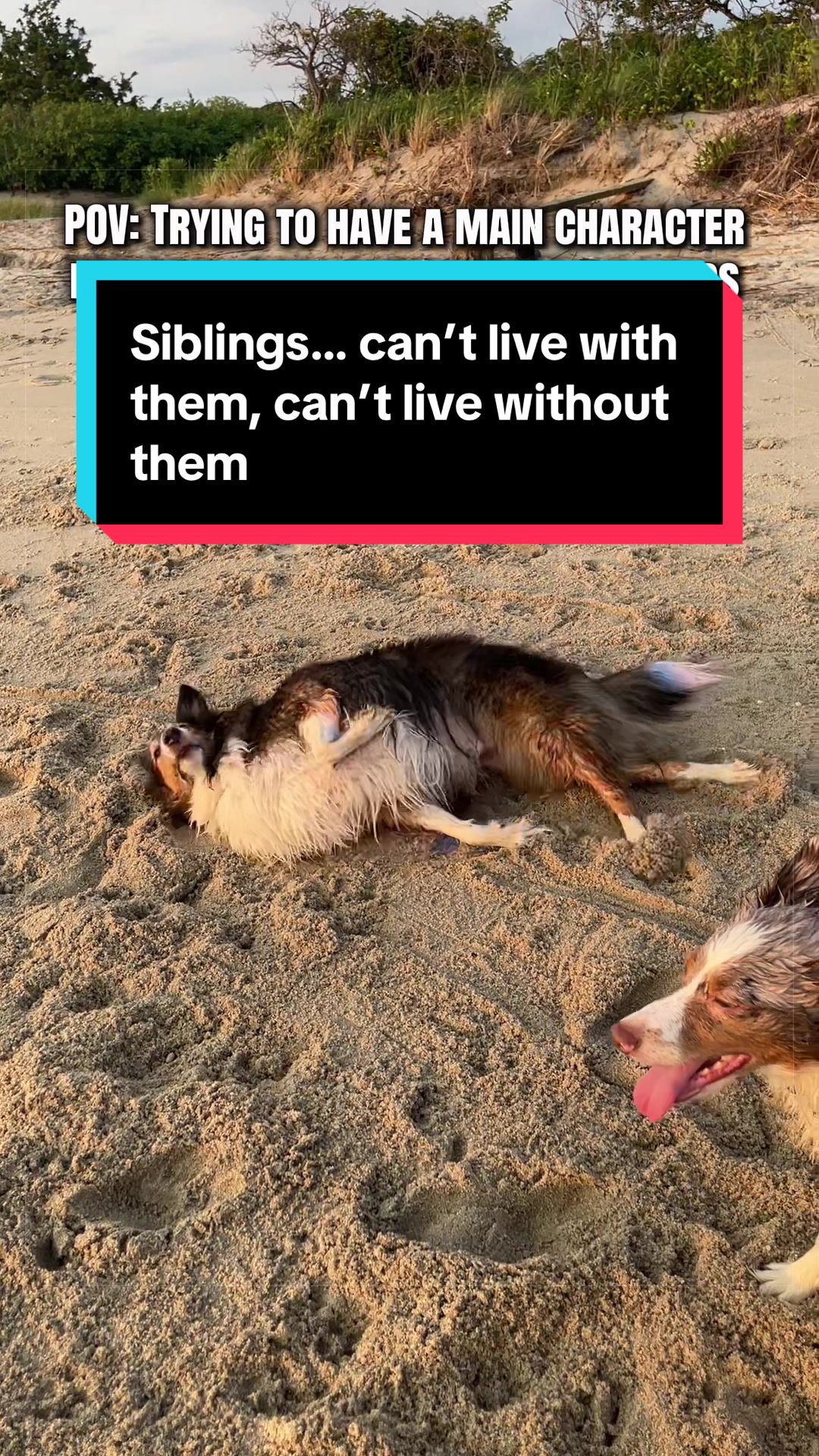 @Dakota & Pups
