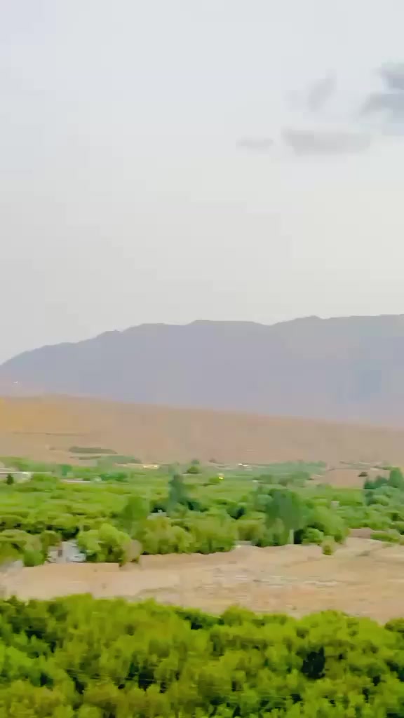 @Abdul Baqi