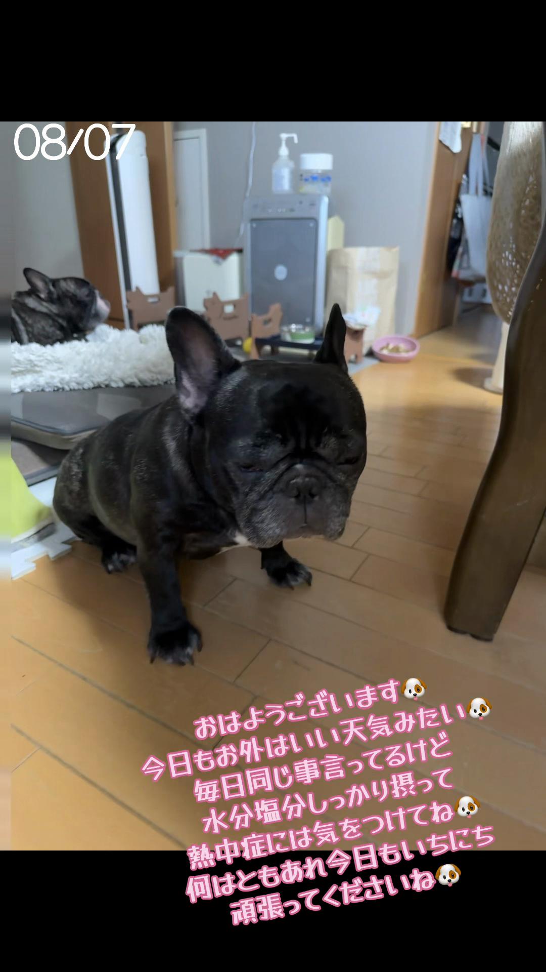 @遮那😎⚡️🐾
