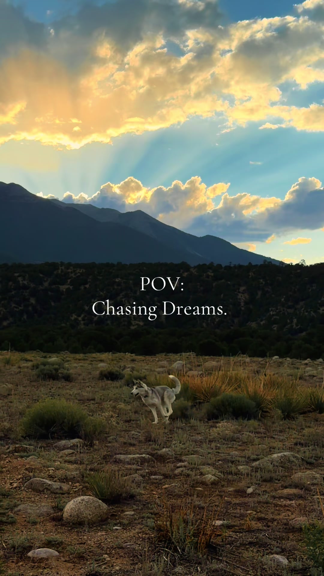 @TravelChaffeeCounty