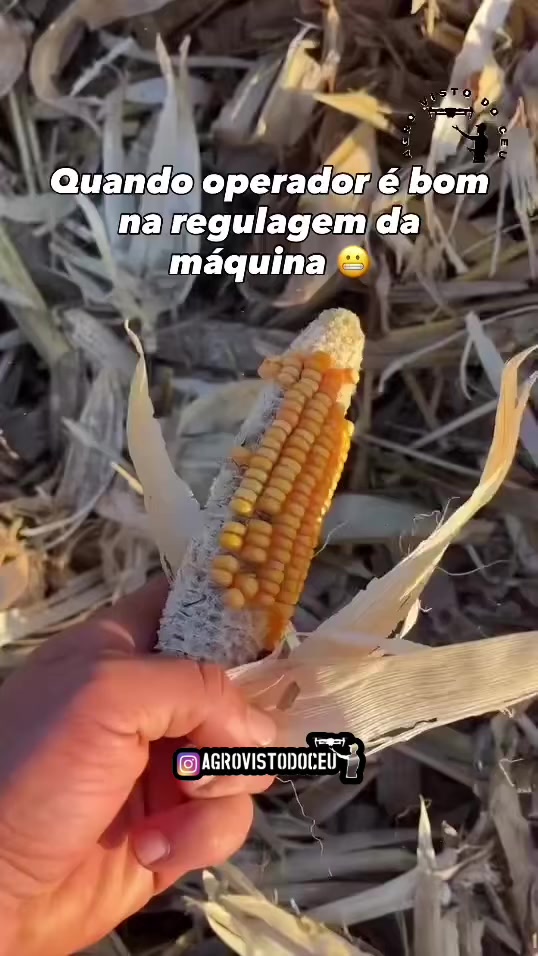 @@agrovistodoceu