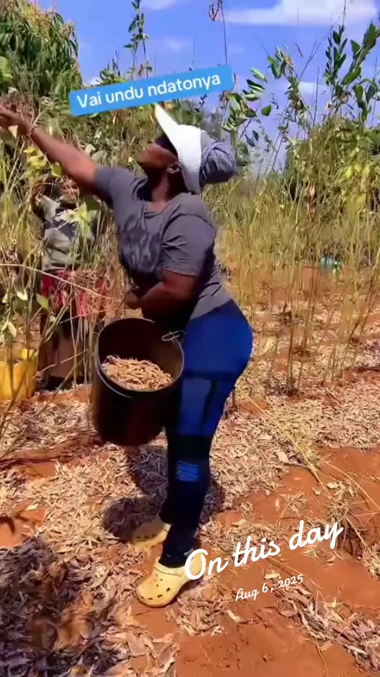 @Ndunda Ndinda 🦂