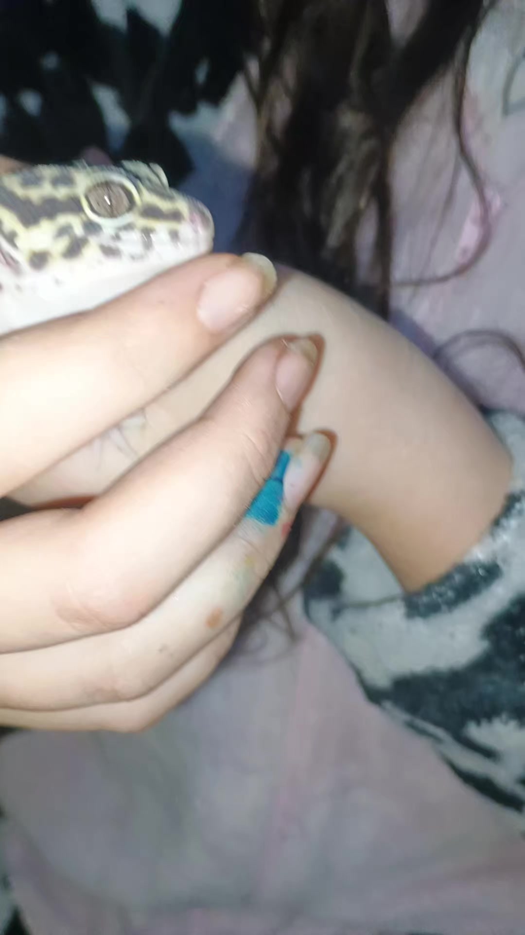 @🥝ainho! (oreo nutella tortu)