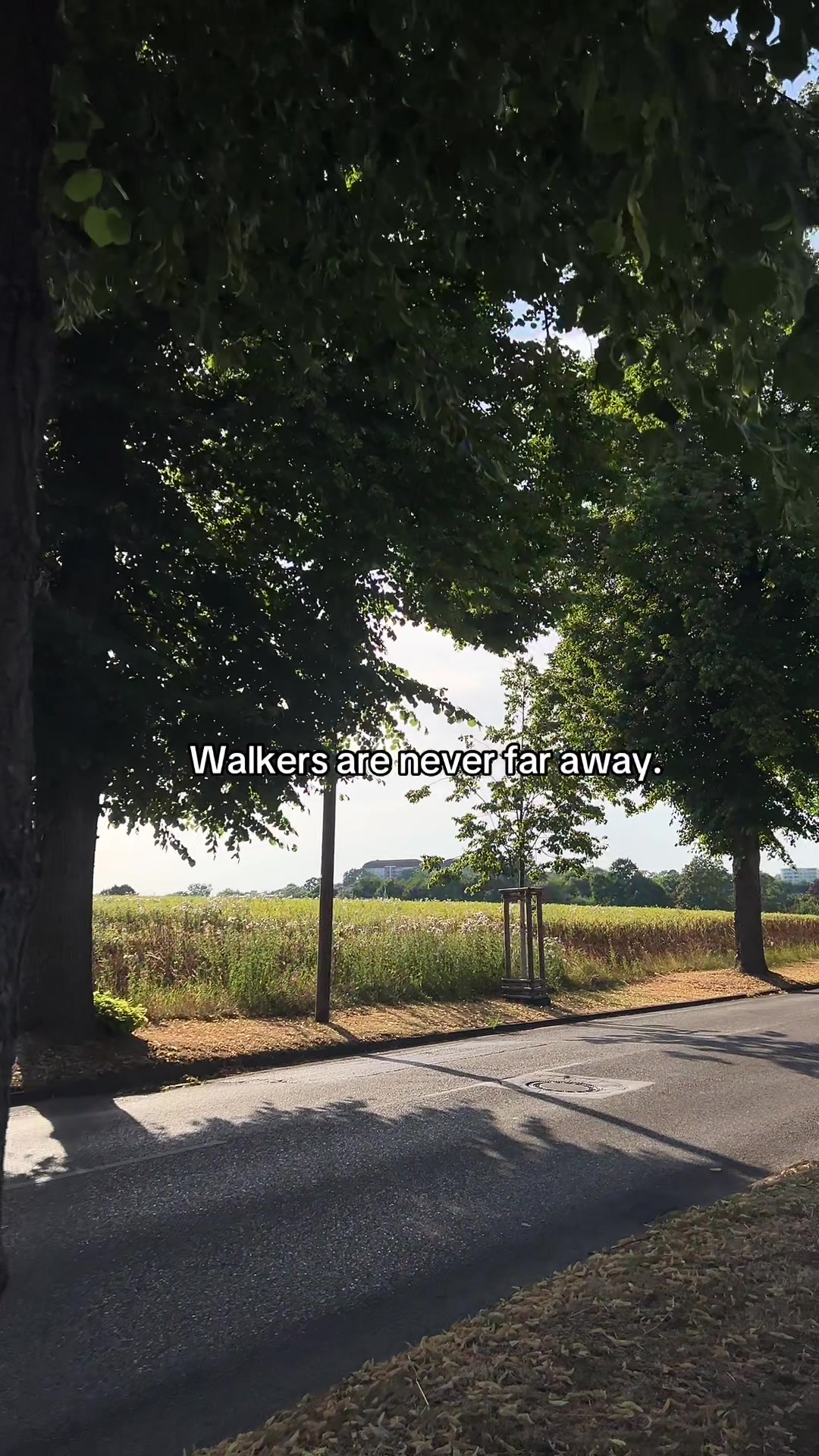 @TwdHolic