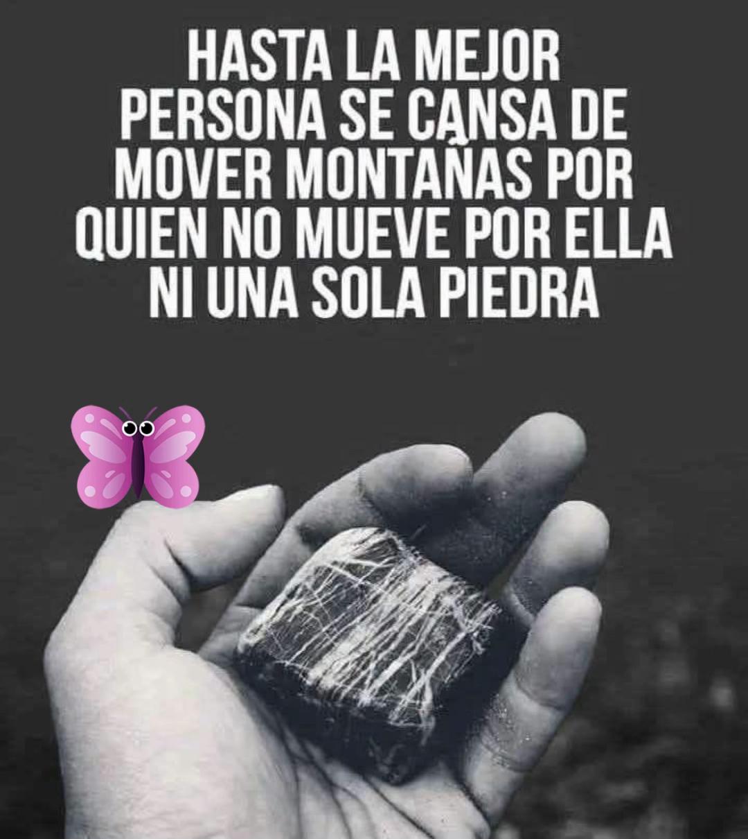 @Veronica Esperanza L