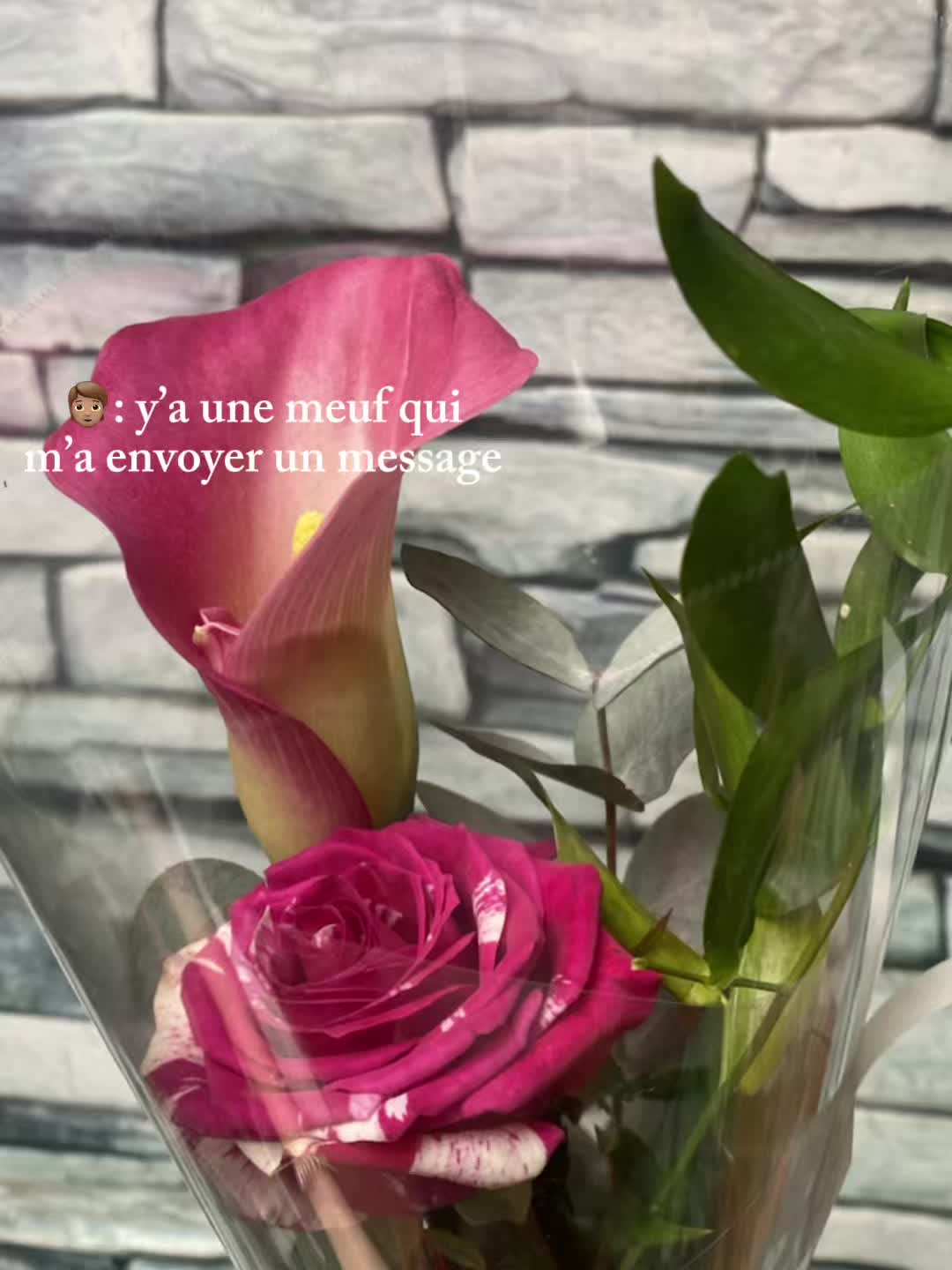 @Shaynes✝️