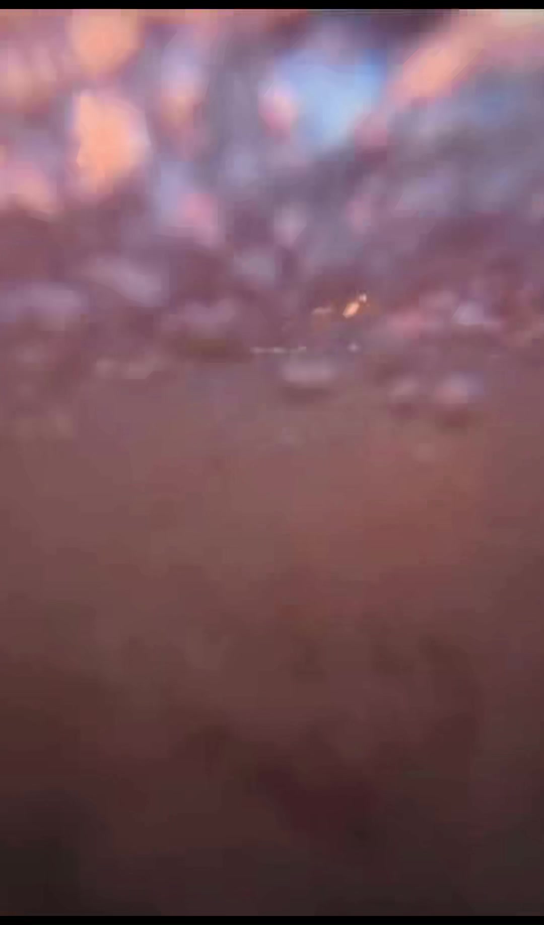 @TCHELOKO369