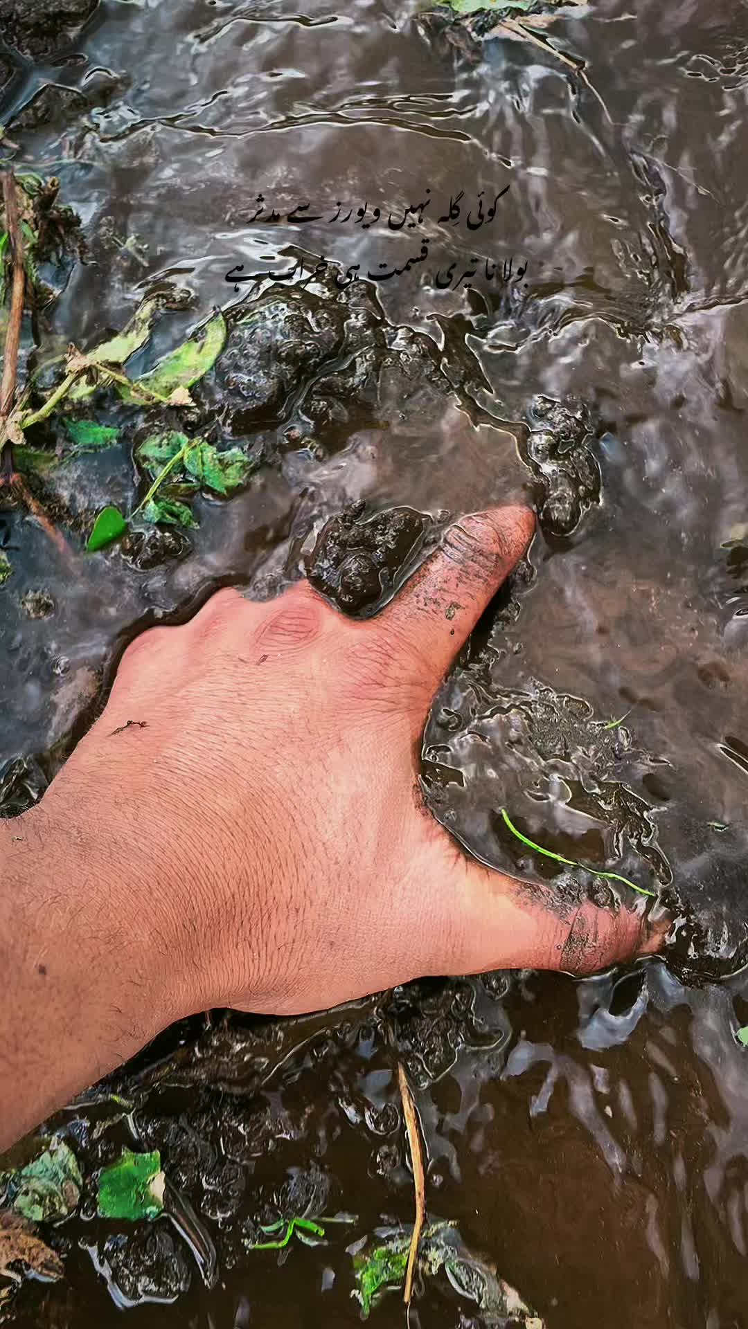 @Mudassar Explorer 🗺️🧗♂️