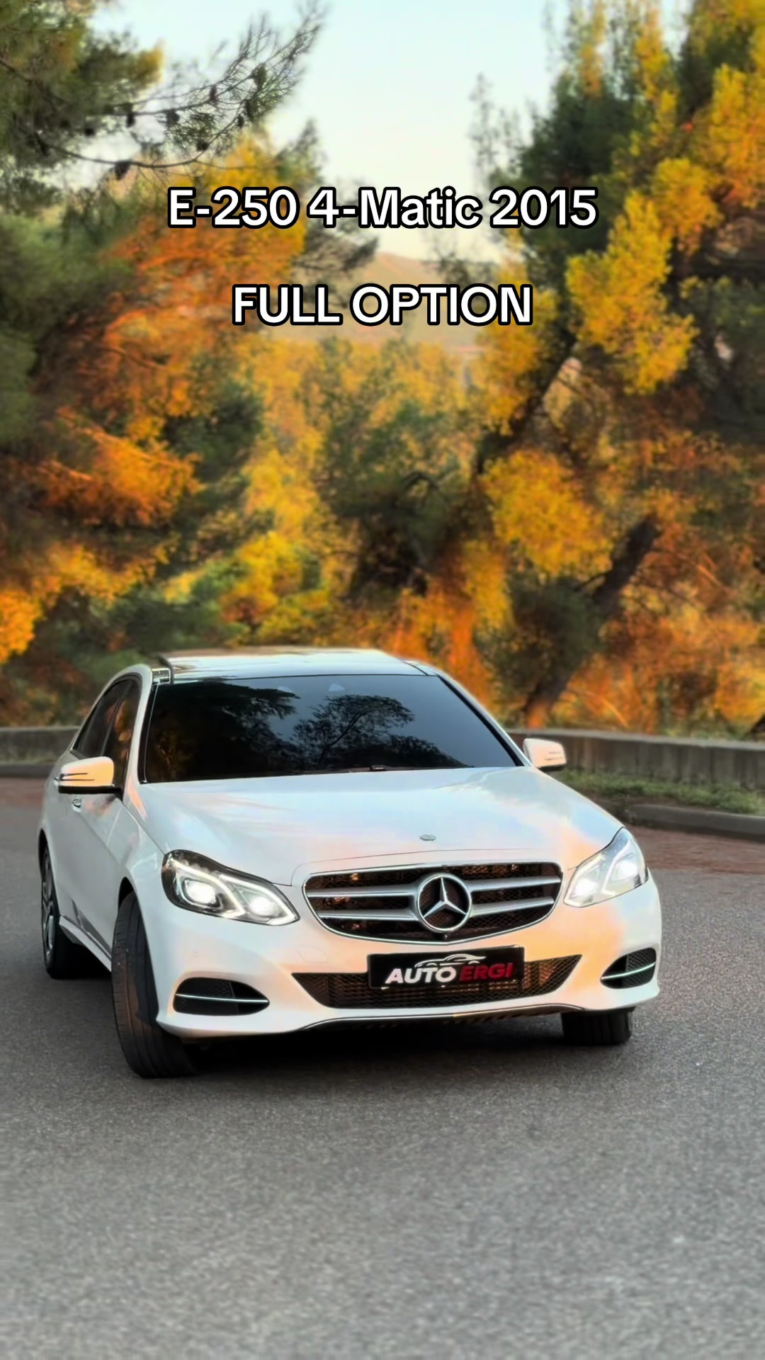 @Auto Ergi