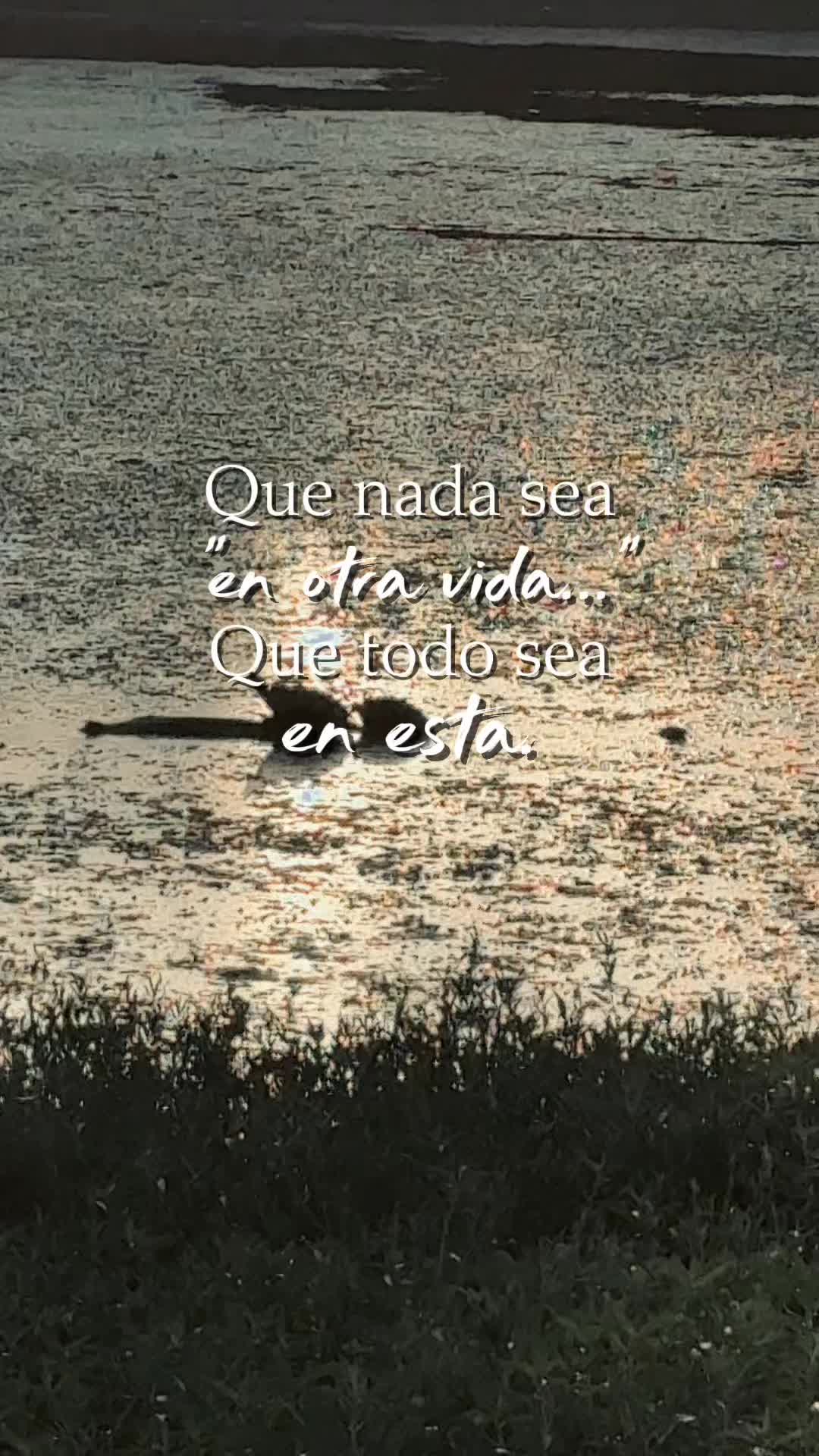 @caritoventura503