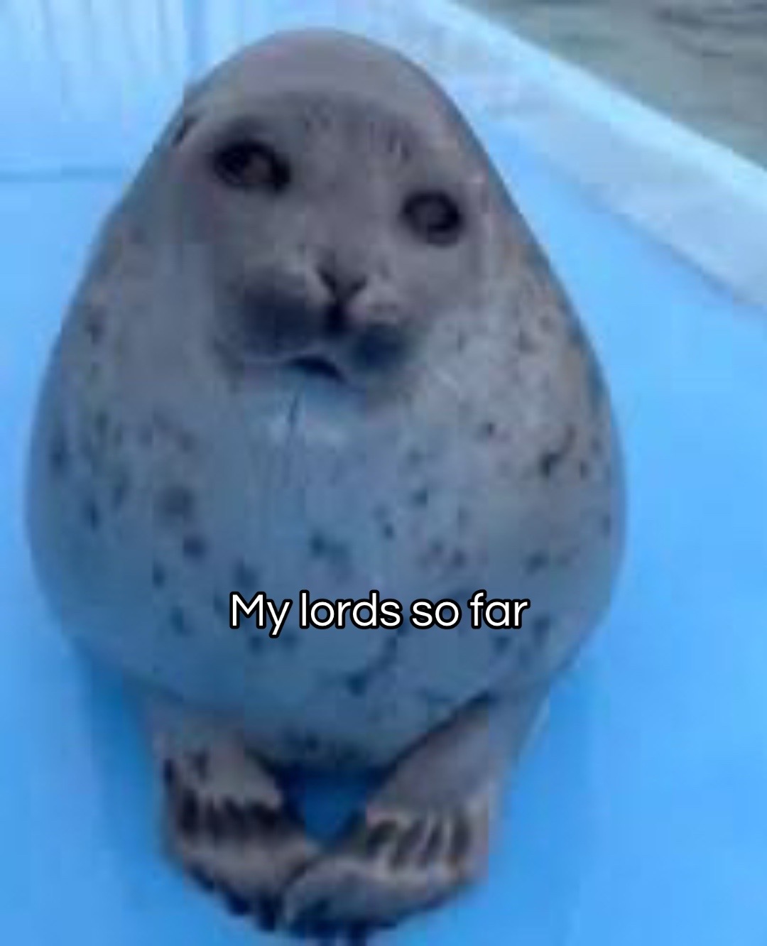 @𝕃𝕖𝕞𝕠𝕟𝕤