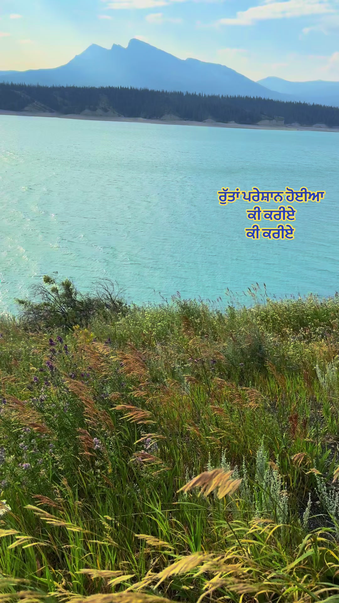 @ਕਲਮ ਅਤੇ ਕਾਫ਼ਲੇ✍🏼