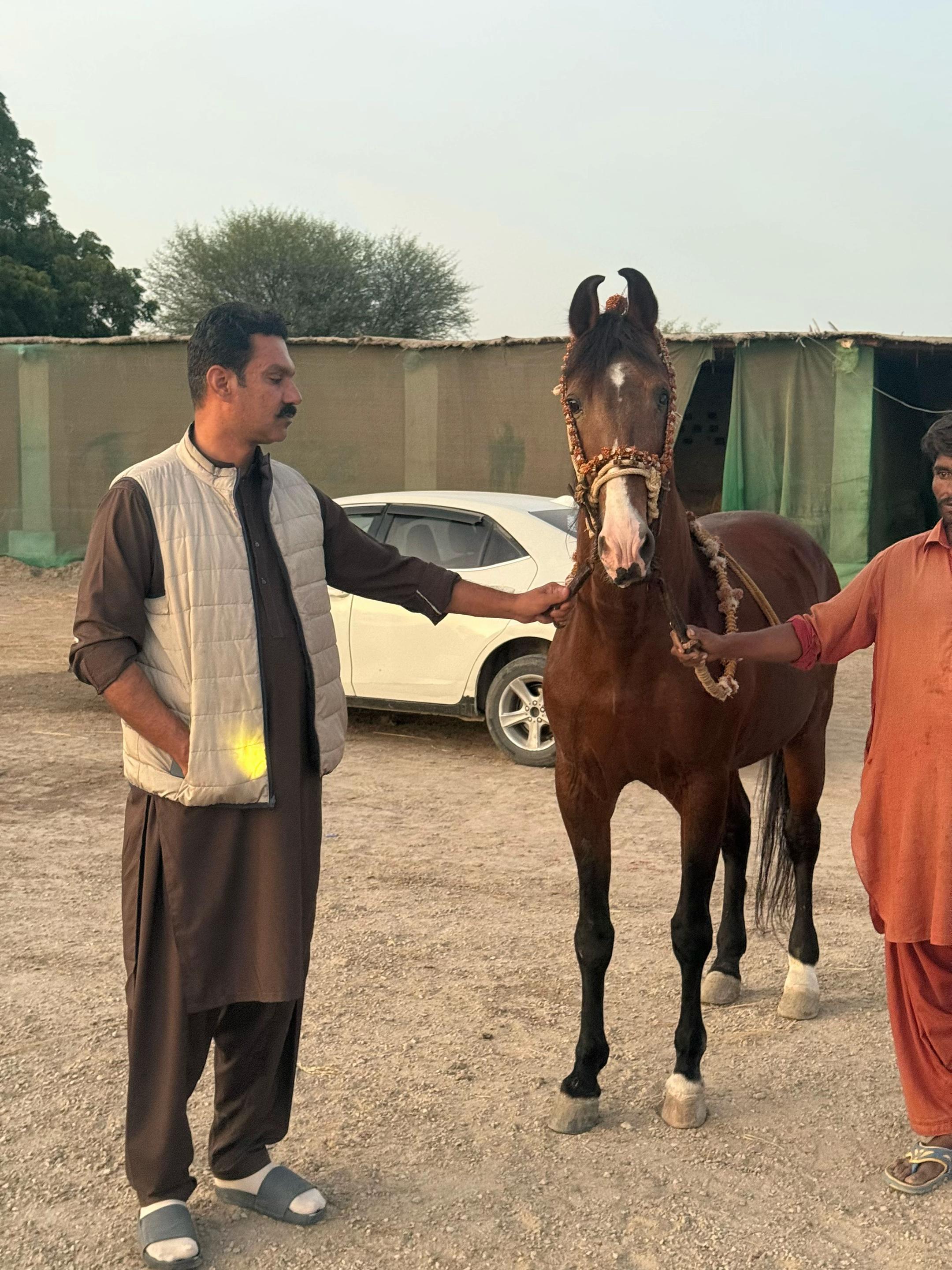 @Hayat Raza