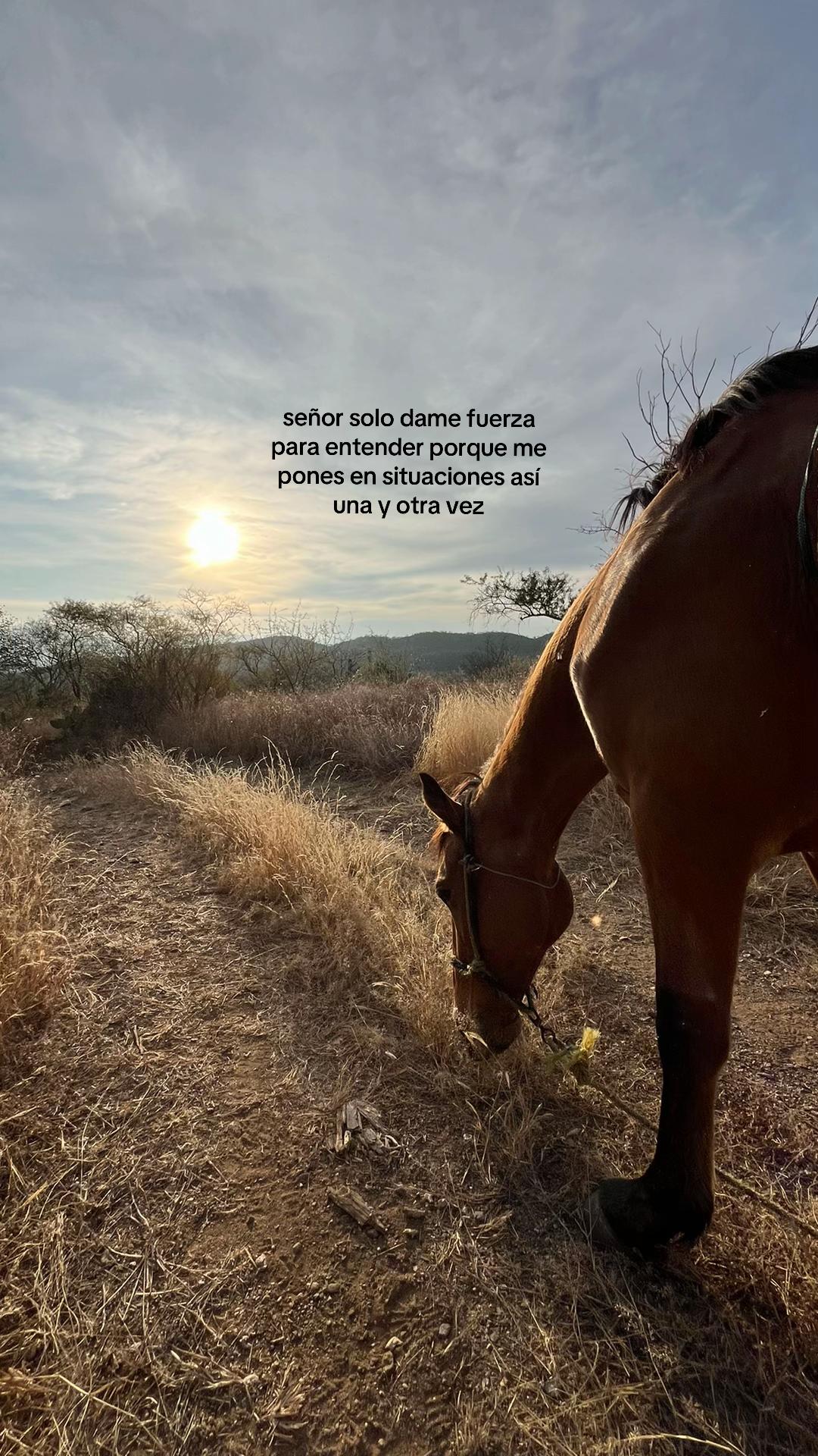 @Lachicadelagro_👩&zwj;🌾🌱