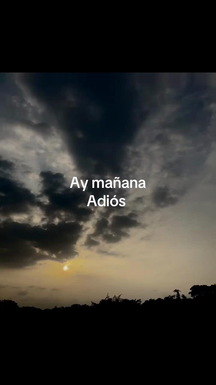 @JOS&Eacute; FLORES 🔥